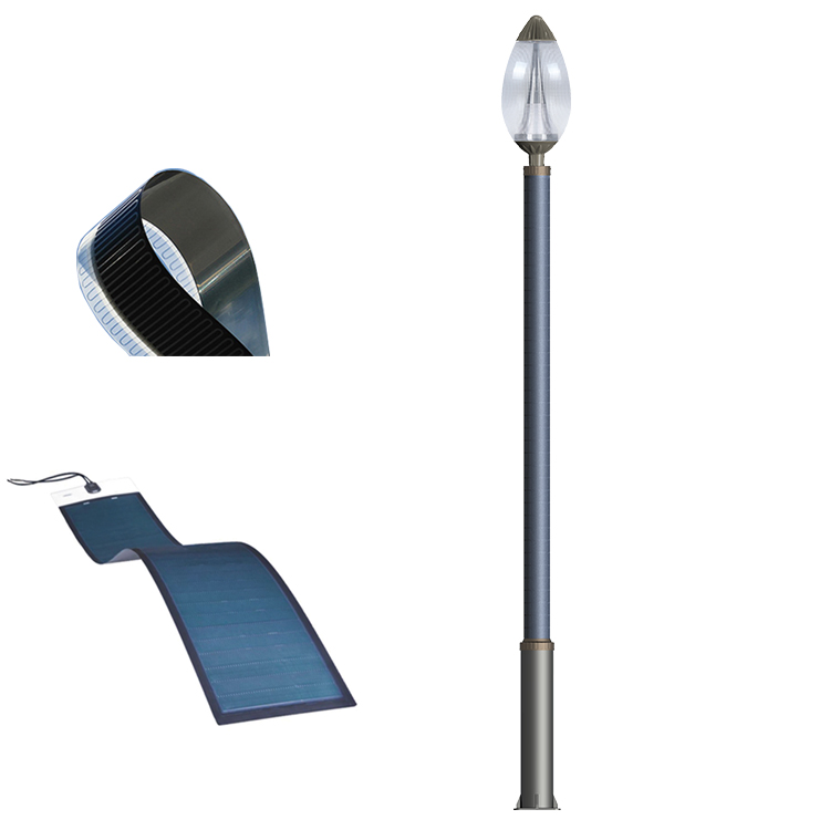 Solar Light Pole For Vertical Solar Light Garden Design 2FSG054-NEWLIGHT ENERGY