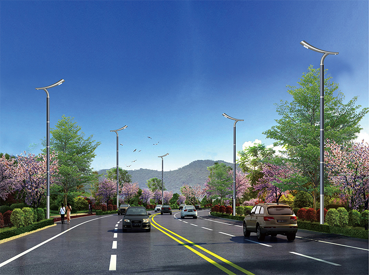 High Power Vertical Solar Street Light With Solar Cylindrical On Pole 2FSG116-NEWLIGHT ENERGY