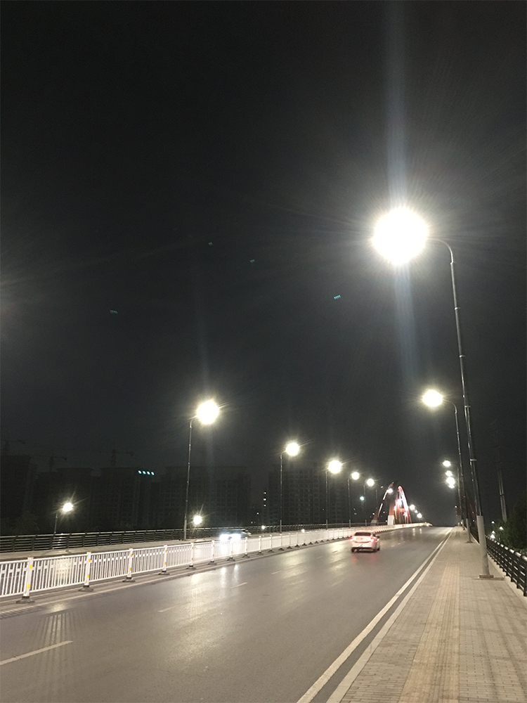 120W-150W Vertical Solar Light Pole With Flexible Solar Panel On Pole-NEWLIGHT ENERGY