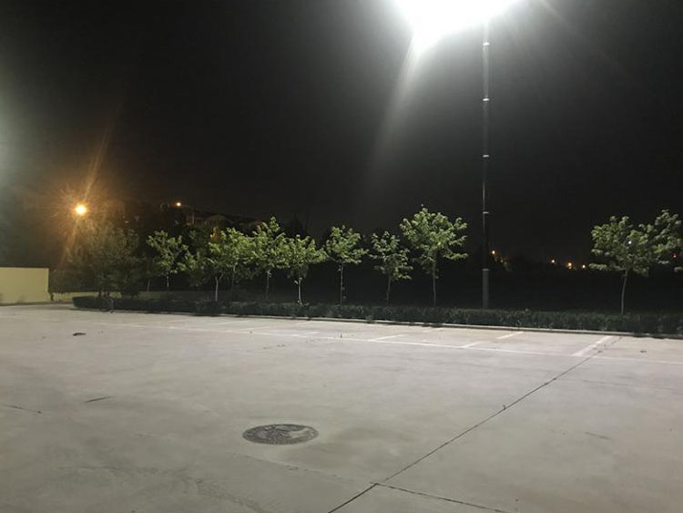 120W-150W Vertical Solar Light Pole With Flexible Solar Panel On Pole-NEWLIGHT ENERGY