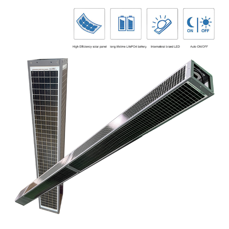 60W LED Solar Street Light With Solar Frame Wrap On Pole 2FSG065-NEWLIGHT ENERGY