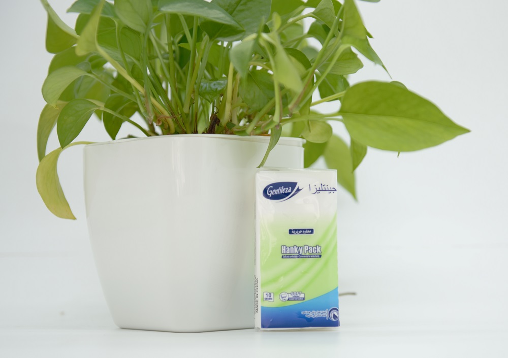 Pocket Facial Tissue Paper 