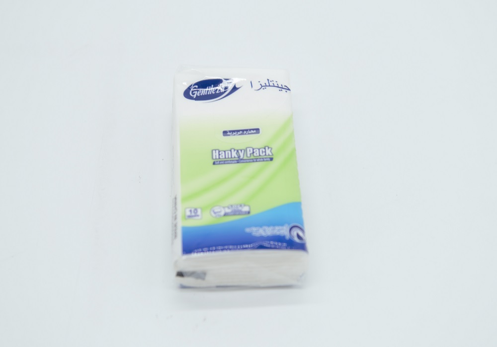 Pocket Facial Tissue Paper 
