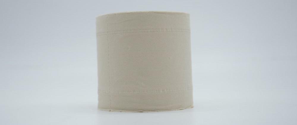 Boxed Toilet Paper Roll