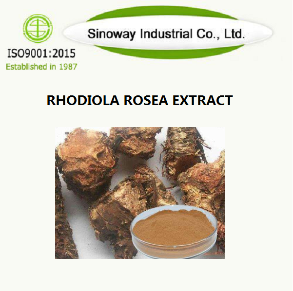 Rhodiola rosea özü