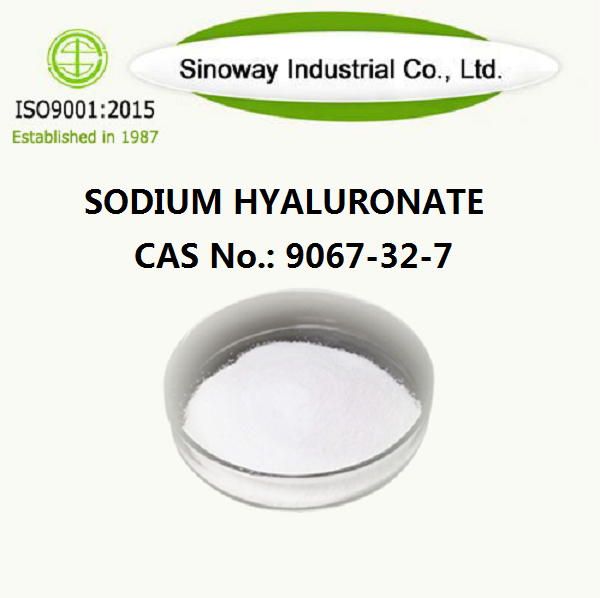 Sodyum Hyaluronat 9067-32-7
