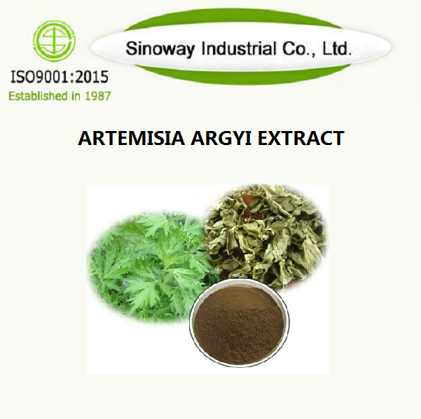 Artemisia Argyi Ekstresi