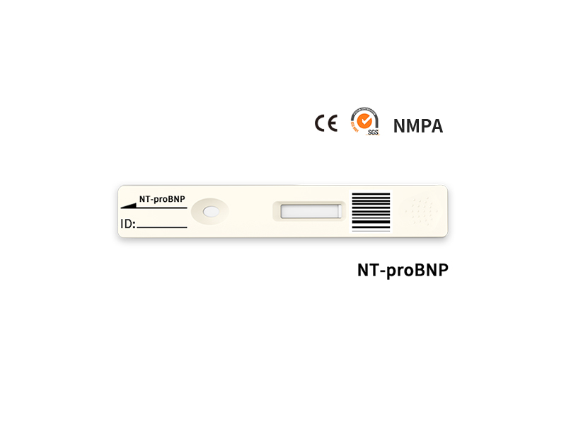 NT-ProBNP Hızlı Kantitatif Test