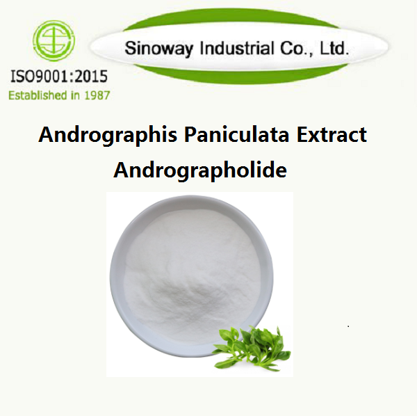 Andrographis Paniculata Özü / Andrographolide