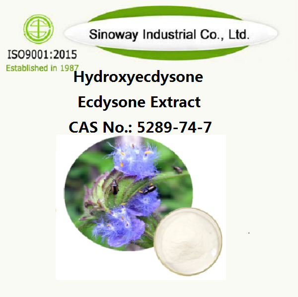 Hidroksiekdison ； Ekdison Ekstresi β-ekdison 5289-74-7