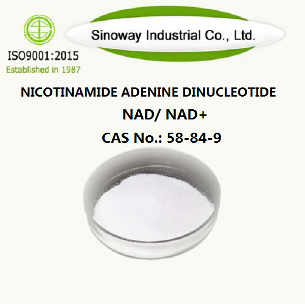 Nikotinamid Adenin Dinükleotid NAD 53-84-9