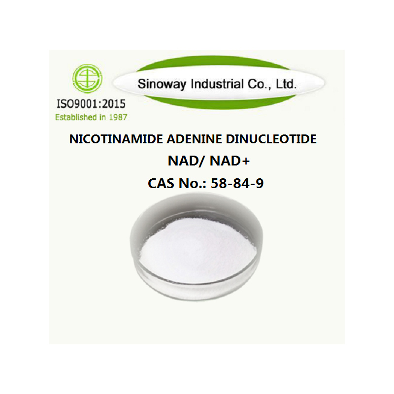 Nikotinamid Adenine Dinükleotide 53-84-9